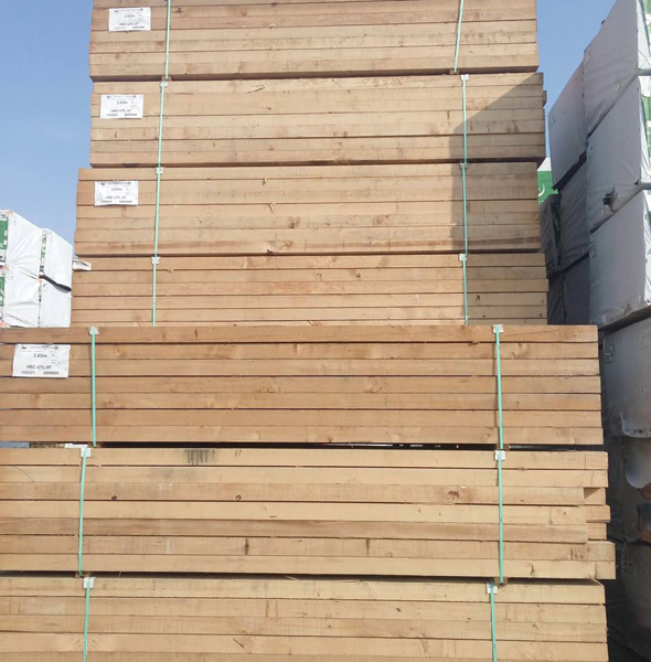 鐵杉木2.jpg 鐵杉木2.jpg